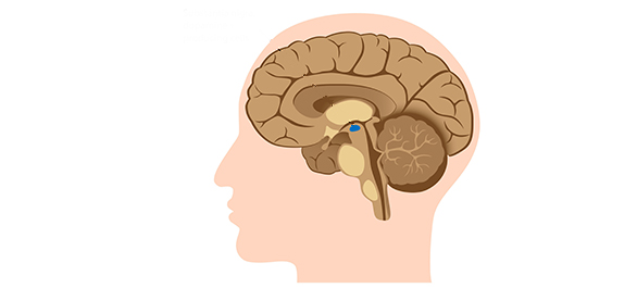 กดการหายใจ