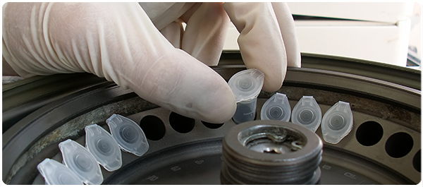 กรดอะมิโนสิ่งจำเป็นของร่างกาย กรดอะมิโนสิ่งจำเป็นของร่างกาย