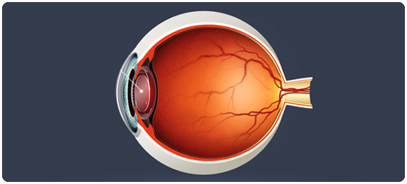 กระจกตา กระจกตา