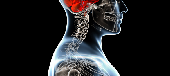 กระดูกคอ <a href='https://www.honestdocs.co/manage-your-neck-pain-with-a-cervical-roll' target='_blank'>กระดูกคอ</a>