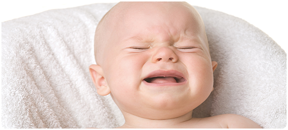 กระดูกแข็ง กระดูกแข็ง