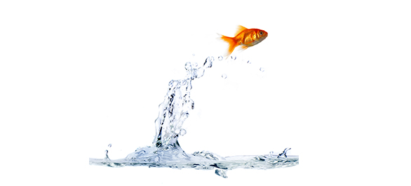 กลิ่นปัสสาวะ