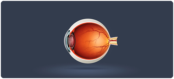 การตรวจคัดกรองตาเมื่อใช้ยาคลอโรควิน การตรวจคัดกรองตาเมื่อใช้ยาคลอโรควิน