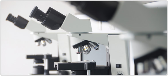 การตรวจทางพยาธิวิทยา <a href='https://www.honestdocs.co/ask/56525675' target='_blank'>การตรวจทางพยาธิวิทยา</a>