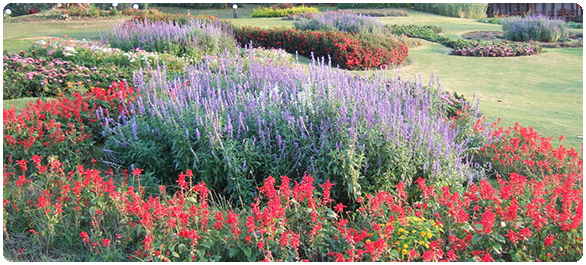 การแพ้ การแพ้