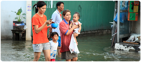 ของฝากจากน้ำท่วม