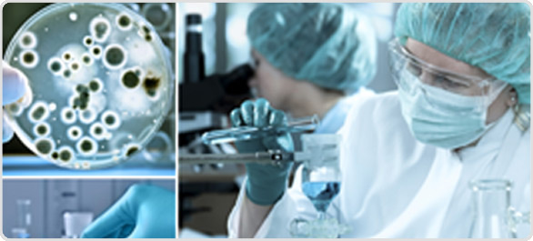 ของเหลว ของเหลว