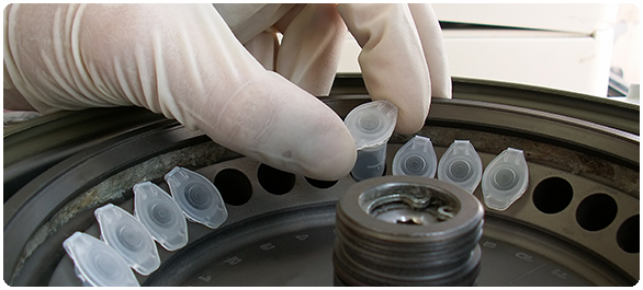 คลอไรด์ คลอไรด์