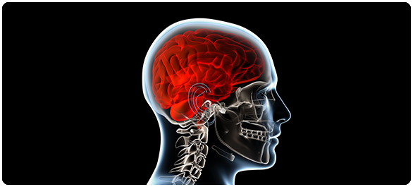 คลุ้มคลั่ง คลุ้มคลั่ง