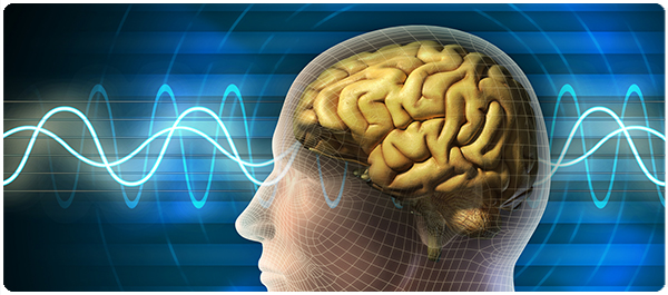 ความจำเสื่อมชั่วคราว 