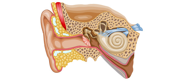 ความไม่เท่าเทียมกันของน้ำในหู ความไม่เท่าเทียมกันของน้ำในหู