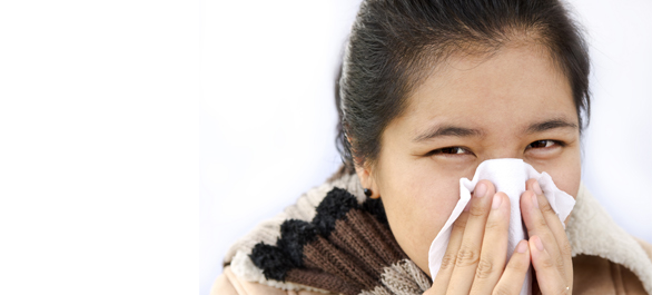 คัดจมูก คัดจมูก