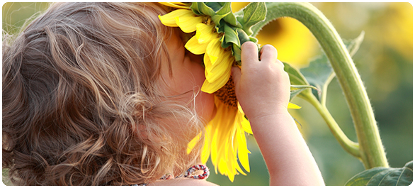 ชีวภาพ1 ชีวภาพ1