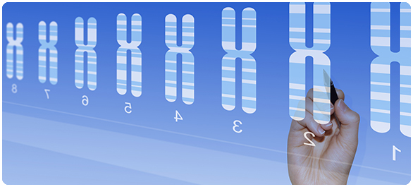 ซิสติกไฟโบรซิส ซิสติกไฟโบรซิส