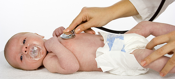 ดักแด้น้อย-1 ดักแด้น้อย-1