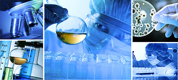 ดารดาษด้วยเชื้อโรค-2 ดารดาษด้วยเชื้อโรค-2