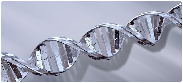 <a href='https://www.honestdocs.co/what-is-carcinogen' target='_blank'>ดีเอ็นเอ</a>