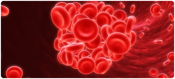 ดีไอซี ดีไอซี