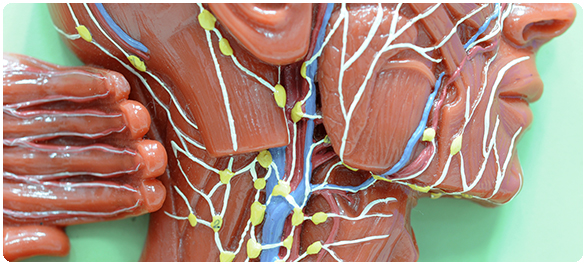 ต่อมน้ำเหลืองโต