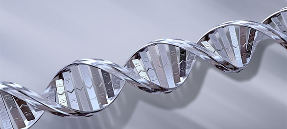 ทรีเชอร์-2 ทรีเชอร์-2