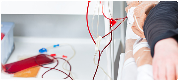 ธาตุเหล็กในอาหาร ธาตุเหล็กในอาหาร