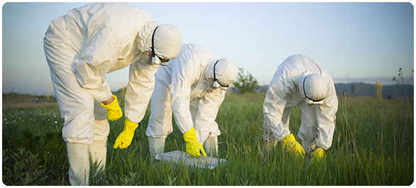 นิกเกิล