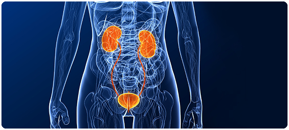 นิ่ว-โรคนิ่ว นิ่ว-โรคนิ่ว