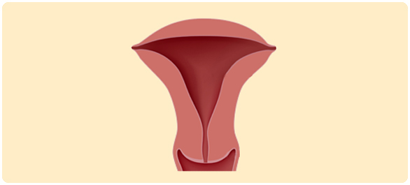 ประจำเดือนคลาดเคลื่อน ประจำเดือนคลาดเคลื่อน