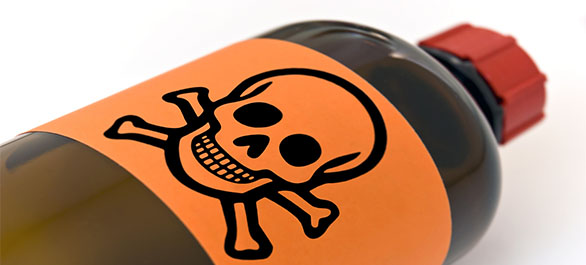 ปักเป้าพ่นพิษ-1