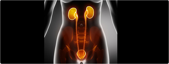 ปัสสาวะเป็นเลือด ปัสสาวะเป็นเลือด