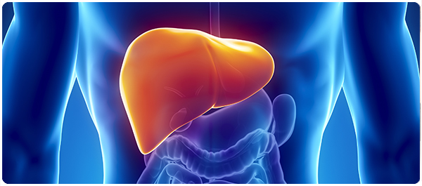 พักตับก่อนตับแข็ง