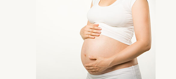 พิษแห่งครรภ์-3 พิษแห่งครรภ์-3