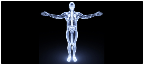 ฟอสฟอรัสในอาหาร ฟอสฟอรัสในอาหาร