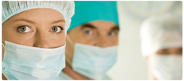 มดเอ๋ยมดลูก มดเอ๋ยมดลูก