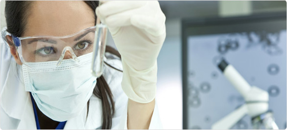 มาร์บวร์ก มาร์บวร์ก