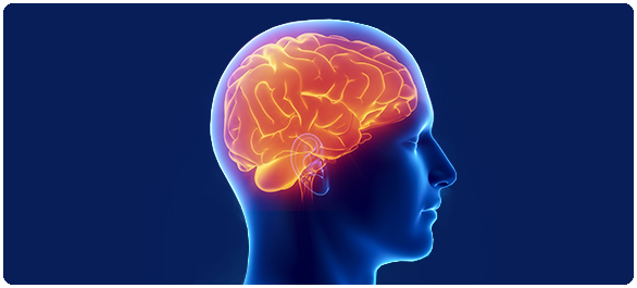 ยากดประสาทส่วนกลาง ยากดประสาทส่วนกลาง