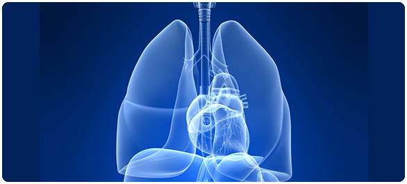 ยากระตุ้นการหายใจ ยากระตุ้นการหายใจ