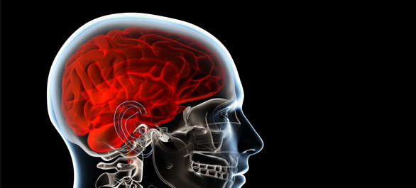 ยากันชัก ยากันชัก