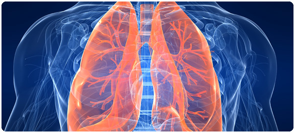 ยาขยายหลอดลม ยาขยายหลอดลม