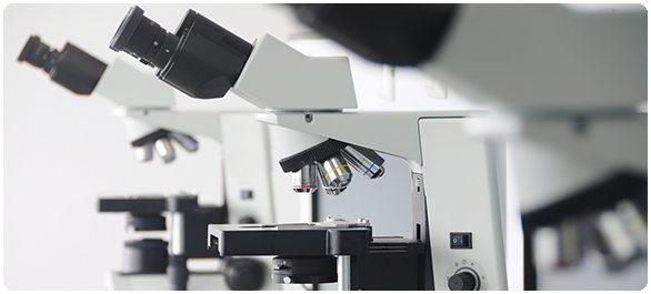 ยาต้านเชื้อรา
ยาต้านเชื้อรา