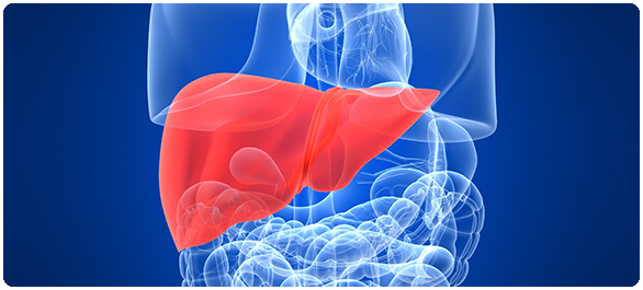 ยาต้านไวรัสตับอักเสบบี ยาต้านไวรัสตับอักเสบบี