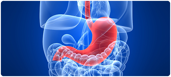 ยาลดกรด ยาลดกรด