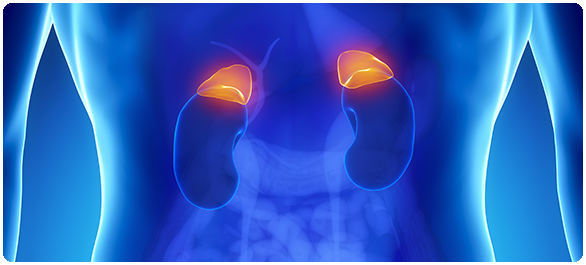 ยาสเตียรอยด์ฮอร์โมน ยาสเตียรอยด์ฮอร์โมน