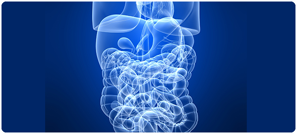 ยาเพิ่มการเคลื่อนไหวของทางเดินอาหาร