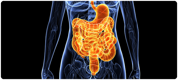 ยาแก้ปวดท้อง ยาแก้ปวดท้อง