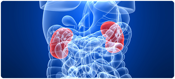 ยูรีเมีย ยูรีเมีย