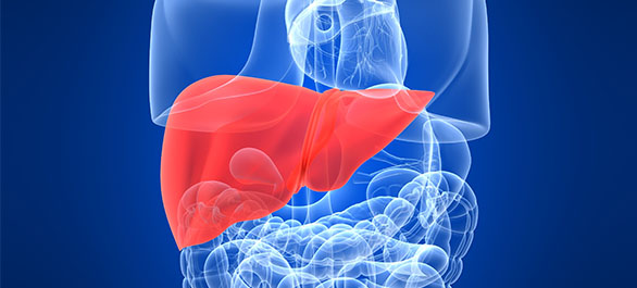 รวมรุ่นไวรัสตับอักเสบ-4 รวมรุ่นไวรัสตับอักเสบ-4