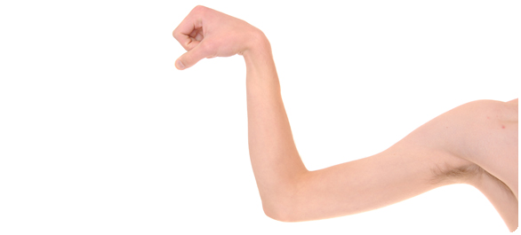 ระบบกล้ามเนื้อและกระดูก ระบบกล้ามเนื้อและกระดูก