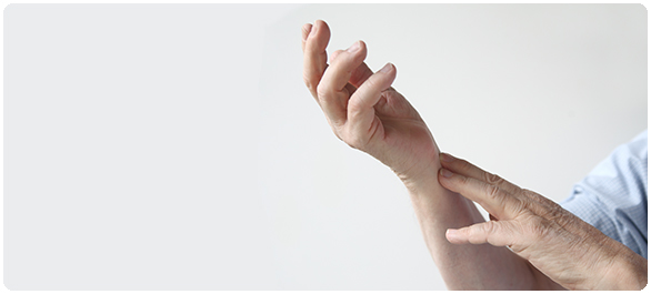 ระบบประสาทส่วนปลาย ระบบประสาทส่วนปลาย