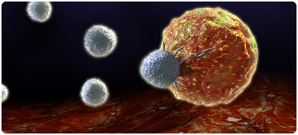 ระบบภูมิคุ้มกันต้านทานโรค ระบบภูมิคุ้มกันต้านทานโรค